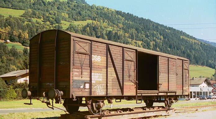 Tipologie di carri merce 885 0 Carro Merci